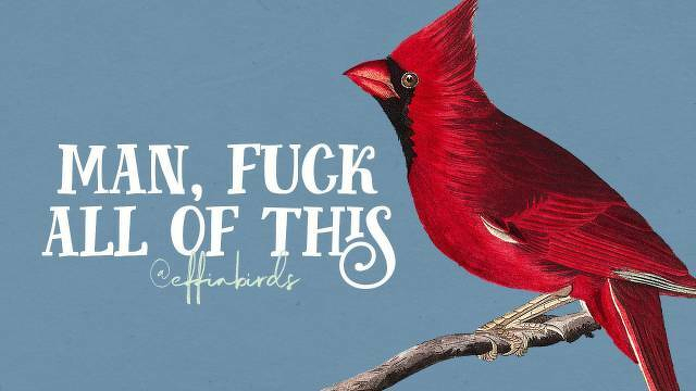 A painting of a bird beside the text "man, fuck all of this"