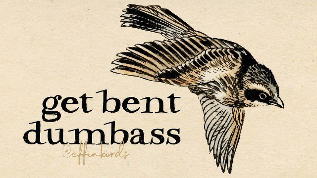 A painting of a bird beside the text "get bent, dumbass"