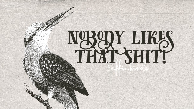 A woodcut of a bird beside the text "nobody likes that shit!"