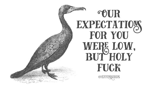 A woodcut of a bird beside the text "our expectations for you were low, but holy fuck"
