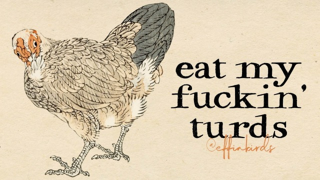 A painting of a bird beside the text "eat my fuckin turds"
