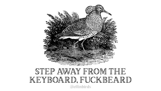 A woodcut of a bird beside the text "STEP AWAY FROM THE KEYBOARD, FUCKBEARD"