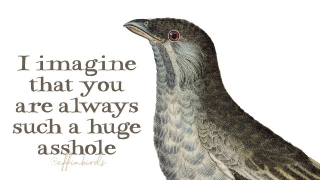 A painting of a bird beside the text "I imagine that you are always such a huge asshole"