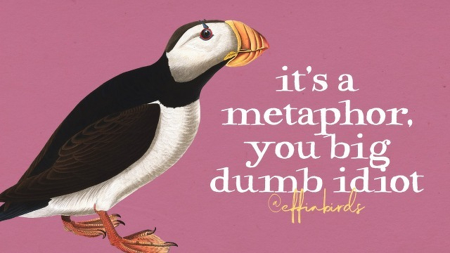 A painting of a bird beside the text "it's a metaphor, you big dumb idiot"