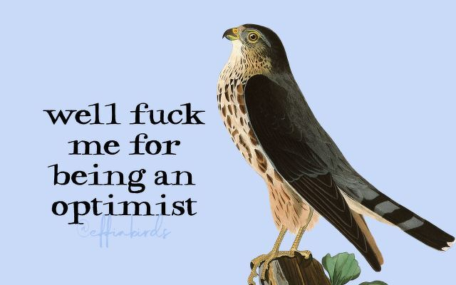 A painting of a bird beside the text "well fuck me for being an optimist"
