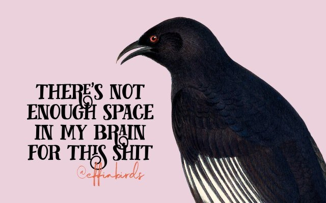 A painting of a bird beside the text "there's not enough space in my brain for this shit"