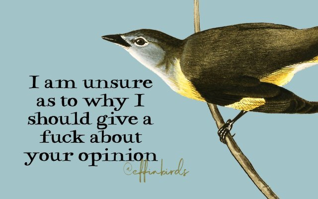 A painting of a bird beside the text "I am unsure as to why I should give a fuck about your opinion"