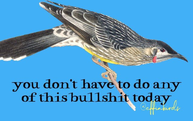 A painting of a bird beside the text "you don't have to do any of this bullshit today"
