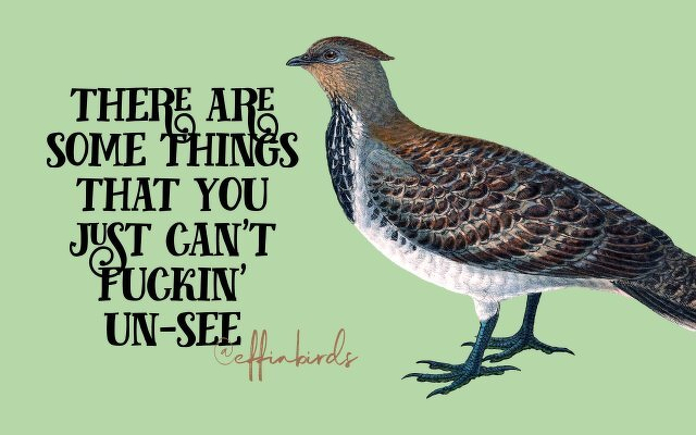 A painting of a bird beside the text "there are some things that you just can't fuckin' un-see"