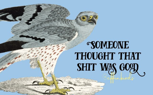 A painting of a bird beside the text "Someone thought that shit was good"