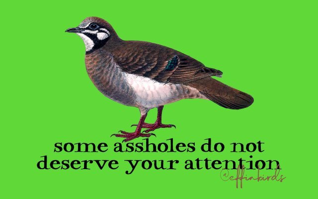 A painting of a bird beside the text "some assholes do not deserve your attention"