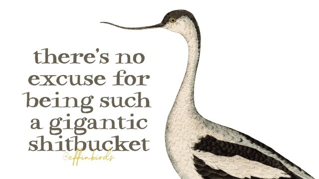 A painting of a bird beside the text "there's no excuse for being such a gigantic shitbucket"