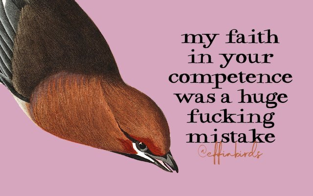 A painting of a bird beside the text "my faith in your competence was a huge fucking mistake"