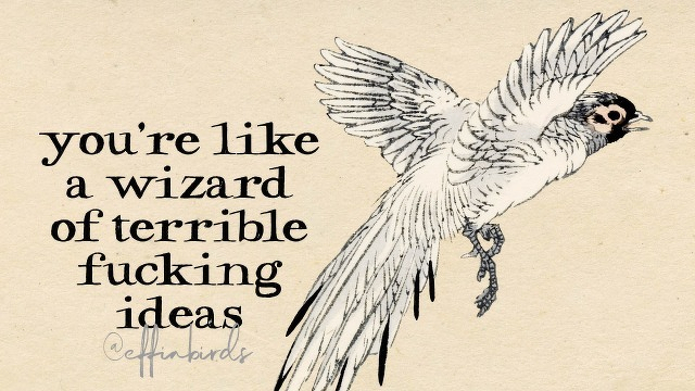 A painting of a bird beside the text "you're like a wizard of terrible fucking ideas"