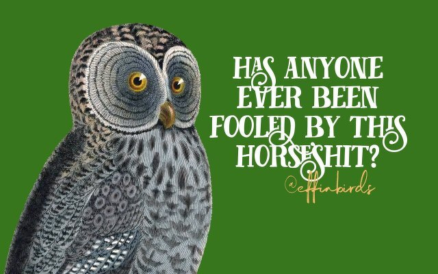 A painting of a bird beside the text "has anyone ever been fooled by this horseshit?"