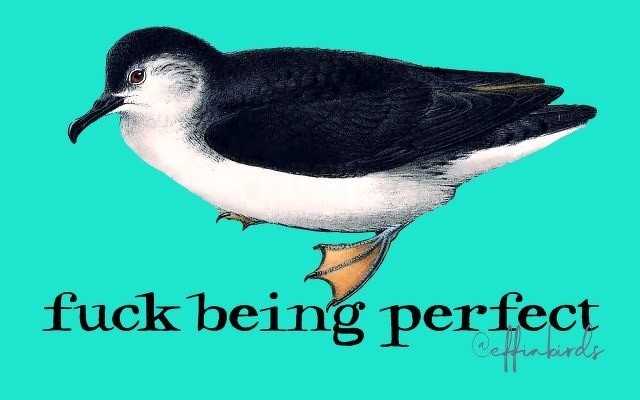 A painting of a bird beside the text "fuck being perfect"