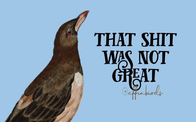 A painting of a bird beside the text "that shit was not great" 