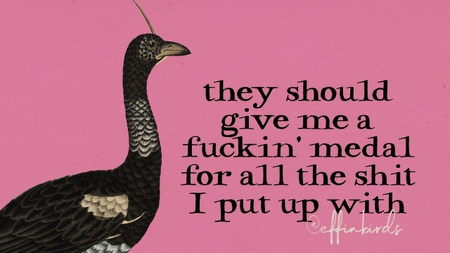 A painting of a bird beside the text "they should give me a fuckin' medal for all the shit I put up with"