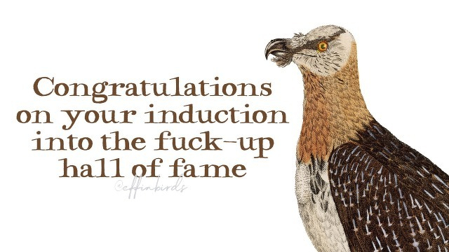 A painting of a bird beside the text "Congratulations on your induction into the fuck-up hall of fame "