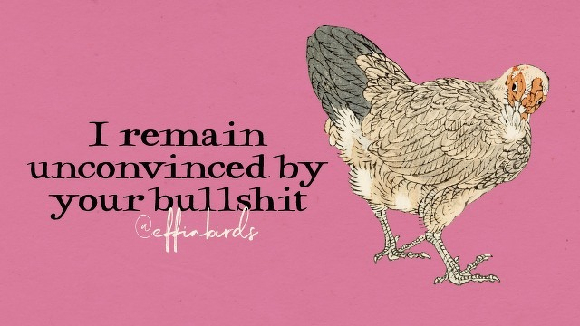 A painting of a bird beside the text "I remain unconvinced by your bullshit"