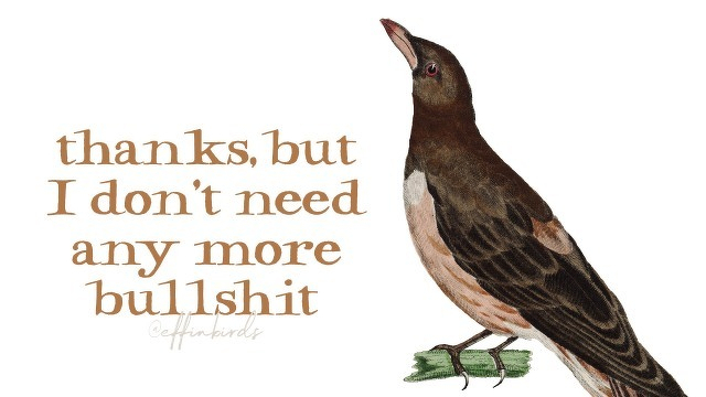 A painting of a bird beside the text "thanks but I don't need any more bullshit"