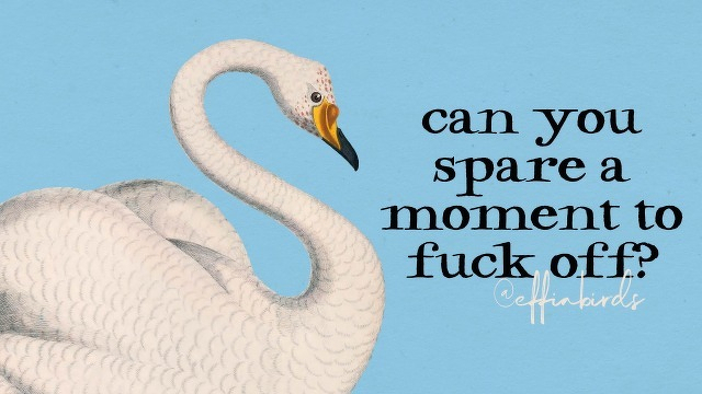 A painting of a bird beside the text "can you spare a moment to fuck off?" 
