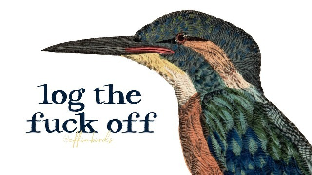 A painting of a bird beside the text "log the fuck off"