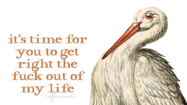 A painting of a bird beside the text "it's time for you to get right the fuck out of my life"