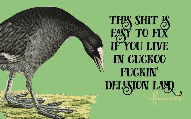 A painting of a bird beside the text "this shit is easy to fix if you live in cuckoo fuckin' delusion land"