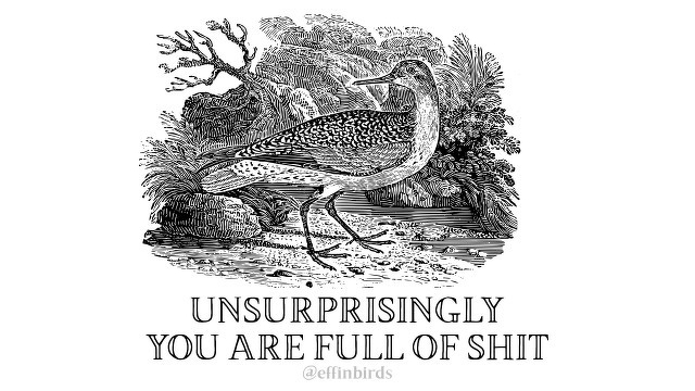 A woodcut of a bird beside the text "UNSURPRISINGLY  YOU ARE FULL OF SHIT"
