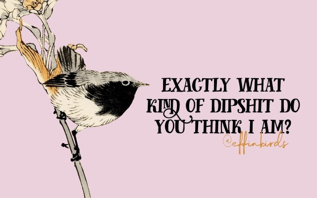 A painting of a bird beside the text "exactly what kind of dipshit do you think i am?"