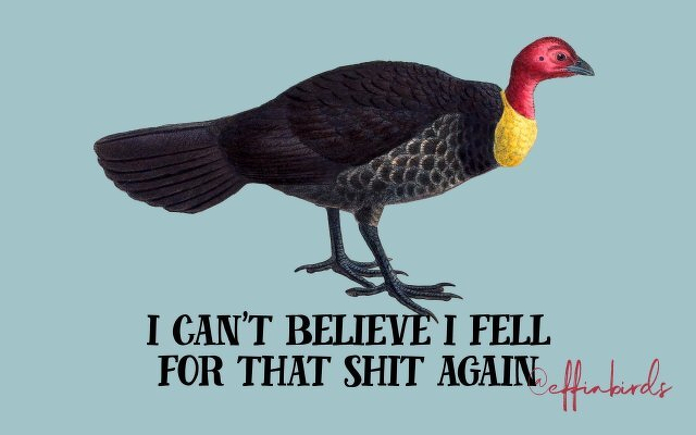 A painting of a bird beside the text "i can't believe i fell for that shit again"