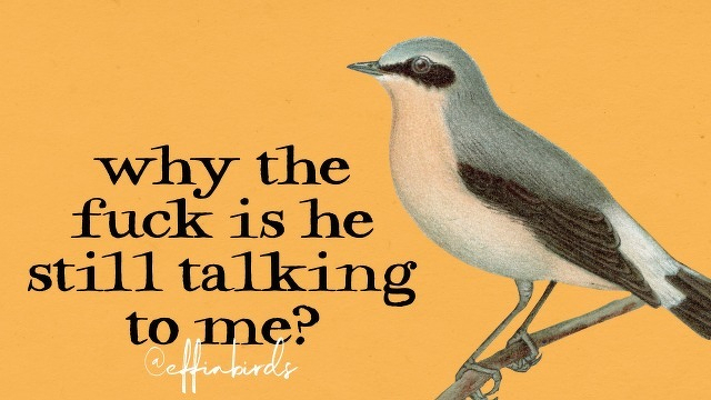 A painting of a bird beside the text "why the fuck is he still talking to me?"