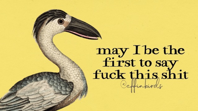 A painting of a bird beside the text "may I be the first to say fuck this shit"