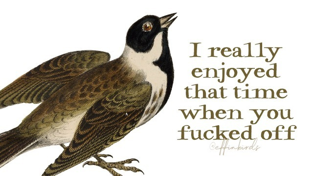 A painting of a bird beside the text "I really enjoyed that time when you fucked off"