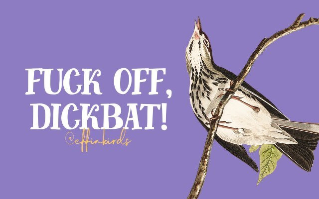 A painting of a bird beside the text "fuck off, dickbat"