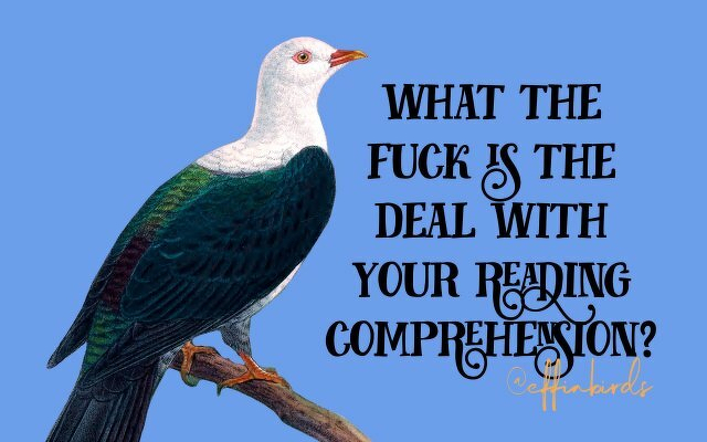 A painting of a bird beside the text "what the fuck is the deal with your reading comprehension"