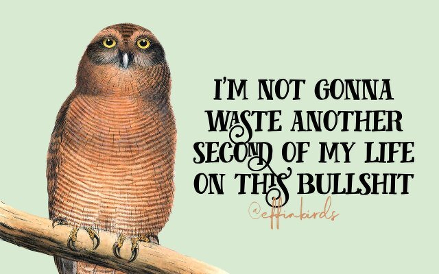 A painting of a bird beside the text "i'm not gonna waste another second of my life on this bullshit"