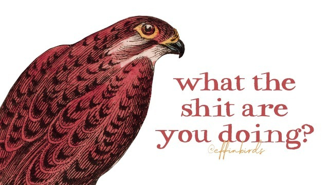 A painting of a bird beside the text "what the shit are you doing?"