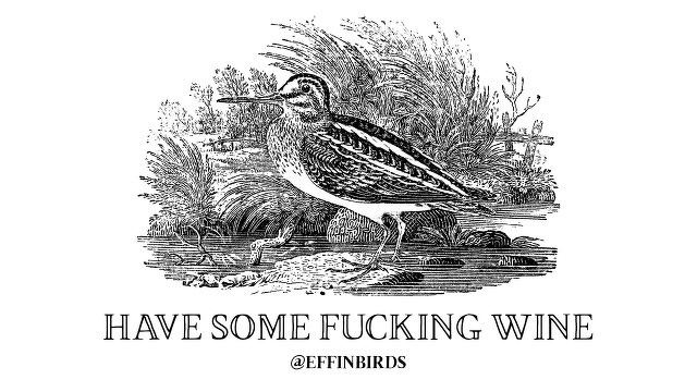 A woodcut of a bird beside the text "have some fuckin wine"