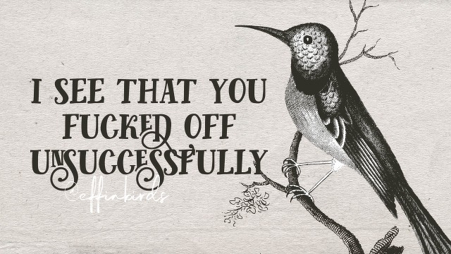 A woodcut of a bird beside the text "i see that you fucked off unsuccessfully"