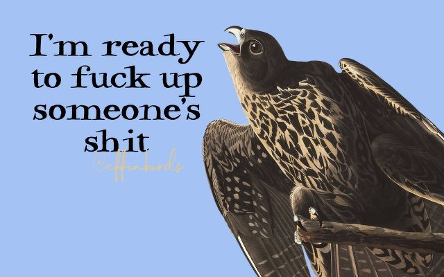 A painting of a bird beside the text "I'm ready to fuck up someone's shit"