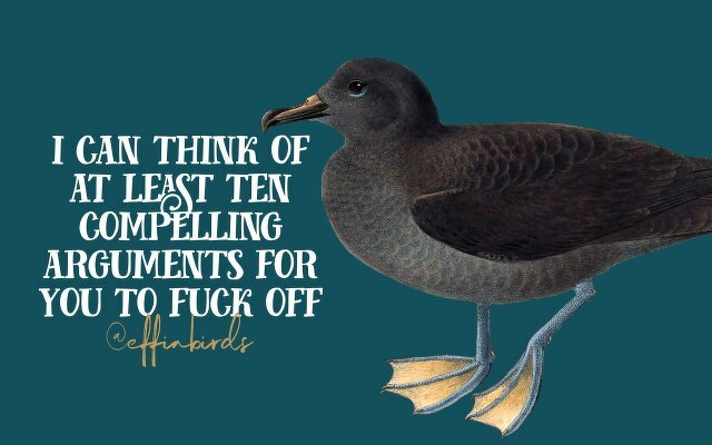 A painting of a bird beside the text "i can think of at least ten compelling arguments for you to fuck off"