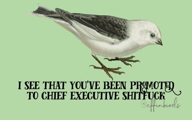 A painting of a bird beside the text "i see that you've been promoted to chief executive shitfuck" 