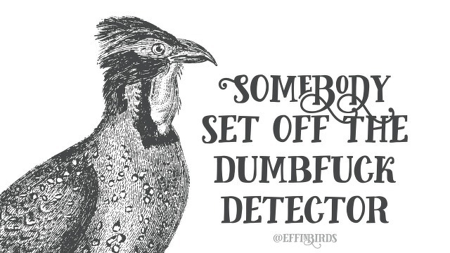 A woodcut of a bird beside the text "Somebody set off the dumbfuck detector"