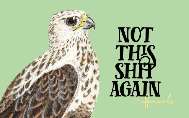 A painting of a bird beside the text "not this shit again" 