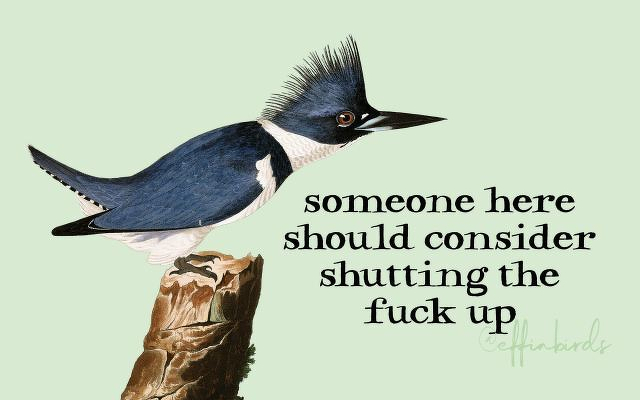 A painting of a bird beside the text "someone here should consider shutting the fuck up"