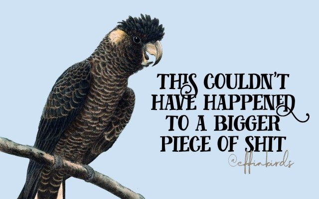 A painting of a bird beside the text "this couldn't have happened to a bigger piece of shit"