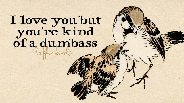 A painting of a bird beside the text "I love you but you're kind of a dumbass"