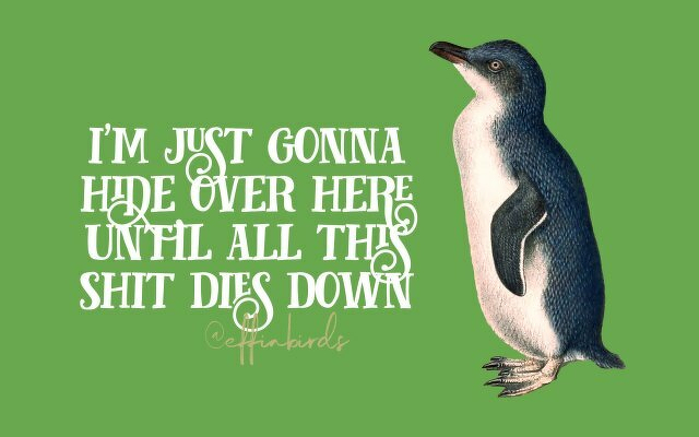 A painting of a bird beside the text "i'm just gonna hide over here until all this shit dies down"